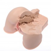 Мастурбатор-полуторс Naked Factory Kate - Naked Factory - в Чебоксарах купить с доставкой