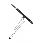 Черный узкий однослойный ошейник с серебристым поводком-цепочкой - Pecado - купить с доставкой в Чебоксарах