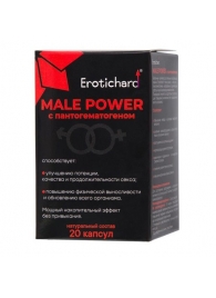 Капсулы для мужчин Erotichard male power с пантогематогеном - 20 капсул (0,370 гр.) - Erotic Hard - купить с доставкой в Чебоксарах