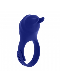 Синее эрекционное виброкольцо с клиторальной подушечкой и пультом ДУ Adjustable Fun Ring - Zero Tolerance - в Чебоксарах купить с доставкой