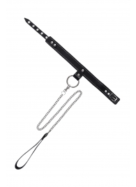 Черный узкий однослойный ошейник с серебристым поводком-цепочкой - Pecado - купить с доставкой в Чебоксарах