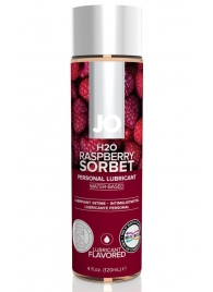 Лубрикант на водной основе с ароматом малины JO Flavored Raspberry Sorbet - 120 мл. - System JO - купить с доставкой в Чебоксарах