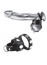 Утяжка для мошонки и пениса Cock Ring With 1  Ball Stretcher And Optional Weight Ring - BlueLine - купить с доставкой в Чебоксарах