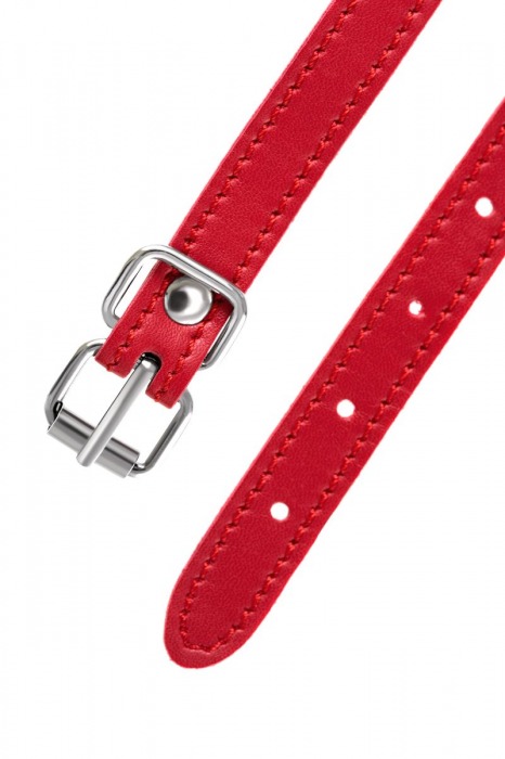 Красная маска Anonymo из искусственной кожи - ToyFa - купить с доставкой в Чебоксарах