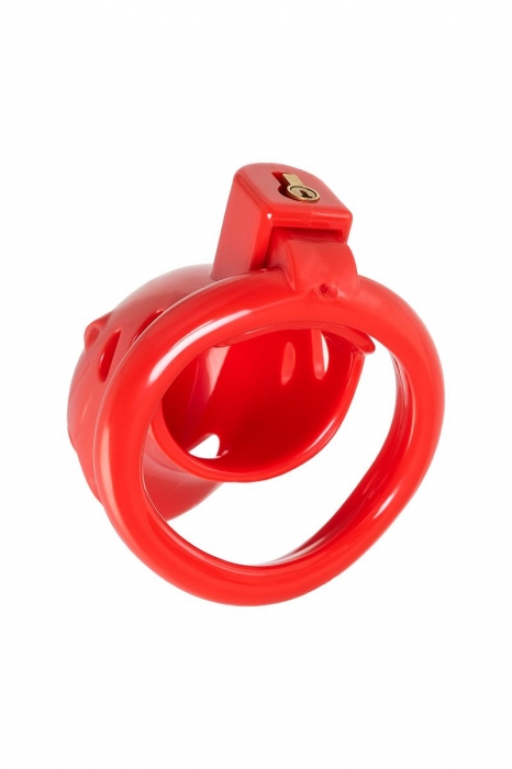 Красный мужской пояс верности из пластика - ToyFa - купить с доставкой в Чебоксарах