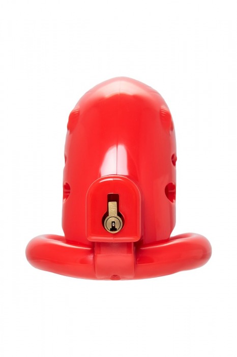 Красный мужской пояс верности из пластика - ToyFa - купить с доставкой в Чебоксарах