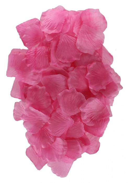 Эротический набор FANTASTIC PURPLE SEX TOY KIT - Toy Joy - купить с доставкой в Чебоксарах