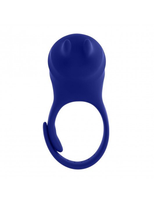 Синее эрекционное виброкольцо с клиторальной подушечкой и пультом ДУ Adjustable Fun Ring - Zero Tolerance - в Чебоксарах купить с доставкой