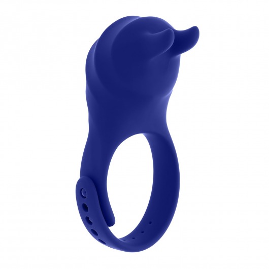 Синее эрекционное виброкольцо с клиторальной подушечкой и пультом ДУ Adjustable Fun Ring - Zero Tolerance - в Чебоксарах купить с доставкой