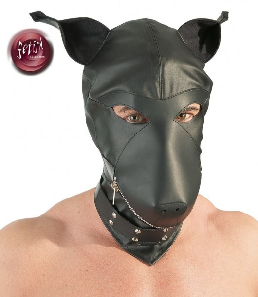 Шлем-маска Dog Mask в виде морды собаки - Orion - купить с доставкой в Чебоксарах