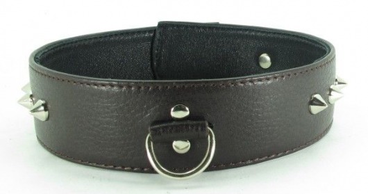 Коричневый кожаный ошейник с кольцом увеличенного размера - БДСМ Арсенал - купить с доставкой в Чебоксарах