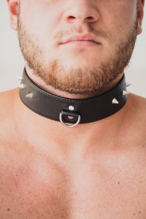Коричневый кожаный ошейник с кольцом увеличенного размера - БДСМ Арсенал - купить с доставкой в Чебоксарах