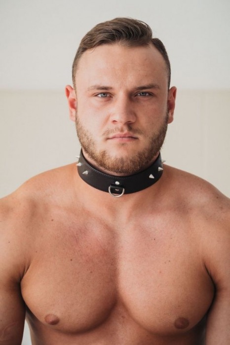 Коричневый кожаный ошейник с кольцом увеличенного размера - БДСМ Арсенал - купить с доставкой в Чебоксарах