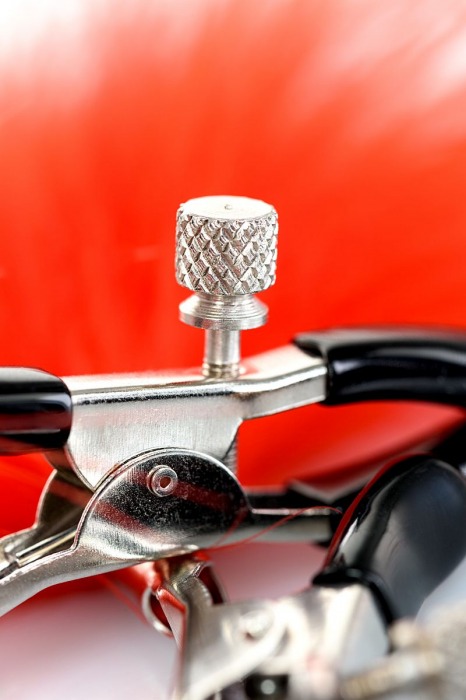 Зажимы для сосков с красным пухом Theatre - ToyFa - купить с доставкой в Чебоксарах