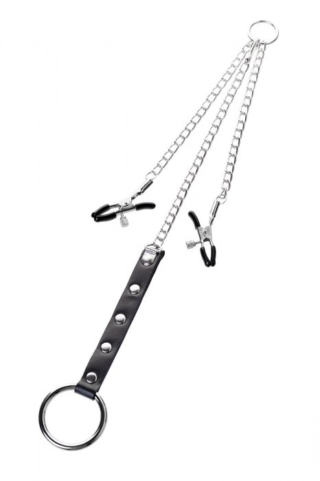 Серебристо-чёрные зажимы для сосков с кольцом для пениса TOYFA Metal - ToyFa - купить с доставкой в Чебоксарах